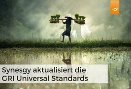 Synesgy aktualisiert die GRI Universal Standards