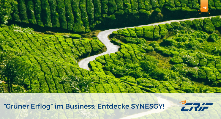 „Grüner Erfolg“ im Business: Entdecke Synesgy!
